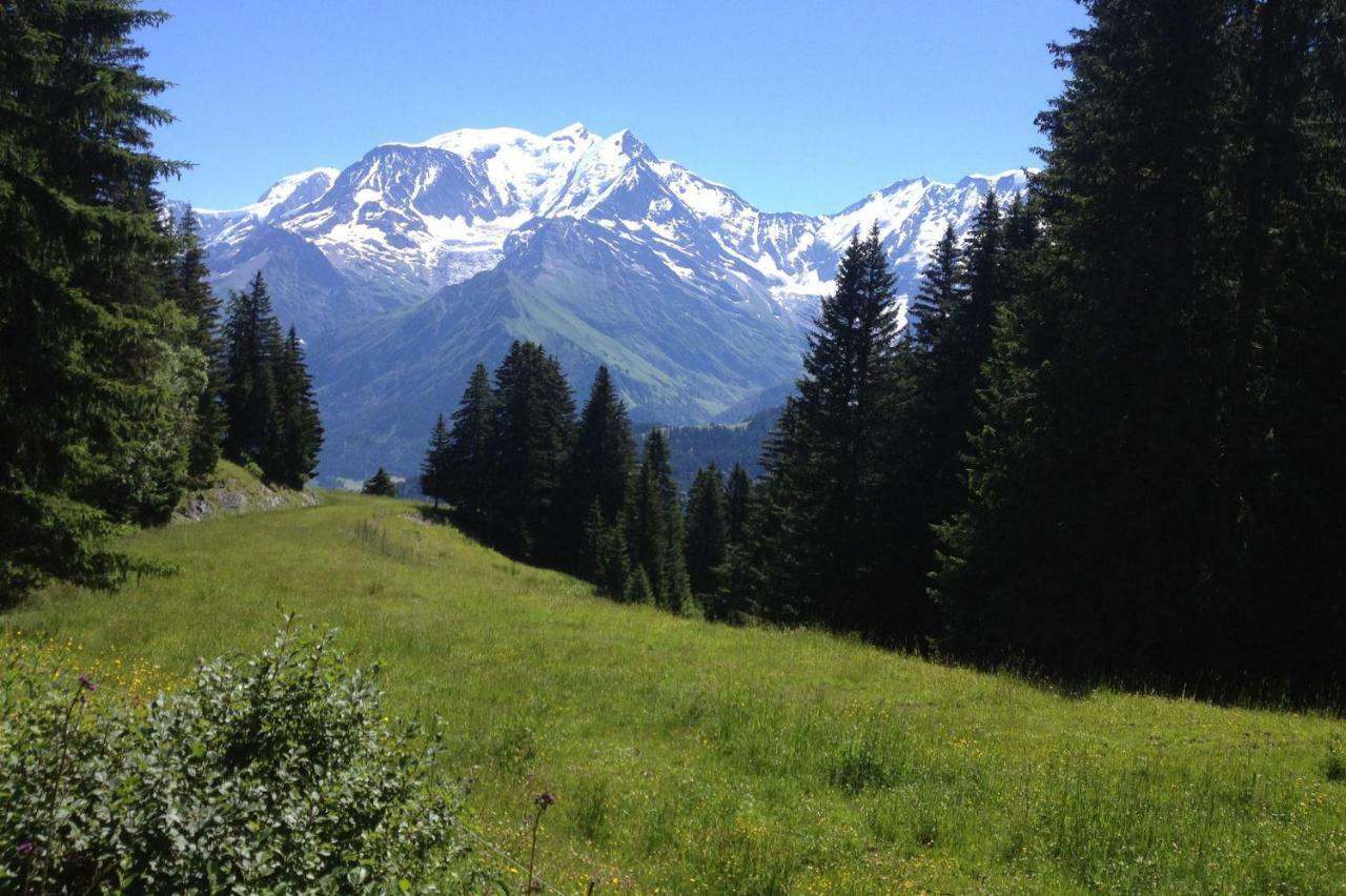 Les Jardins Alpins - Apartment Saint-Gervais-les-Bains Εξωτερικό φωτογραφία