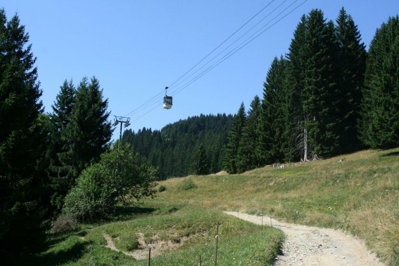 Les Jardins Alpins - Apartment Saint-Gervais-les-Bains Εξωτερικό φωτογραφία